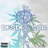 Desde el Sur - Single
