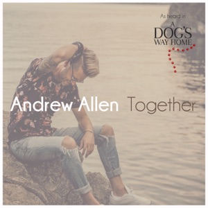 Andrew Allen - Together - 排舞 音乐