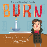 Darcy Pattison - Burn: Michael Faraday's Candle artwork