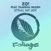 Steal My Joy (feat. Tamisha Waden) artwork