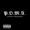 Lyrical Madness - Single album lyrics, reviews, download