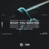 What You Wanted - Single