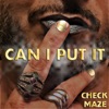 Can I Put It - Single