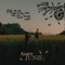 Almagtig Stadig - Almero lyrics