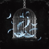 Cage Bird - EP artwork