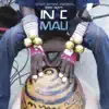 Africa Express Presents... Terry Riley's In C Mali album lyrics, reviews, download