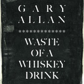 Gary Allan - Waste Of A Whiskey Drink