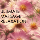 Ultimate Massage Relaxation - Music for Meditation, Relaxation, Sleep, Massage Therapy - Pure Massage Music