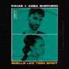R3HAB/AMBA SHEPHERD - Smells Like Teen Spirit (Record Mix)