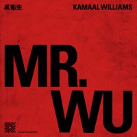 Kamaal Williams - Mr Wu artwork