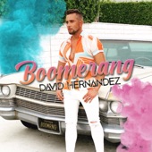 Boomerang artwork