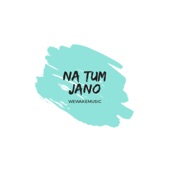 Na Tum Jano artwork