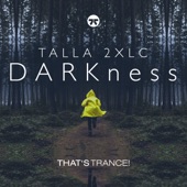DARKness (Extended Mix) artwork