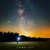 Starry Sky - Single