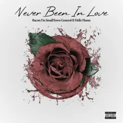 Never Been in Love (feat. Hellz Flame) Song Lyrics