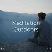 !!!" Meditation Outdoors "!!! artwork