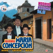 Marimba Maria Concepcion - Cumbia Jalapaneca