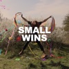 Small Wins - Single, 2021