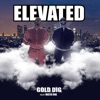 Elevated - EP