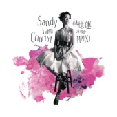 Sandy Lam Concert MMXI artwork