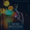 Stream & download Night Adventure - Single