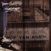 Tommy Guerrero & Gadget - Cold