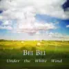Under the White Wind album lyrics, reviews, download