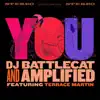 You (feat. Terrace Martin) - Single album lyrics, reviews, download