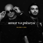 Amur Və Psixeya artwork