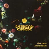 Desmond Cheese - Chief Pidgeon (Live)