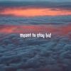 Meant To Stay Hid - Single artwork
