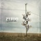 Pirko - Zetod lyrics