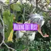 Walking Out West album lyrics, reviews, download