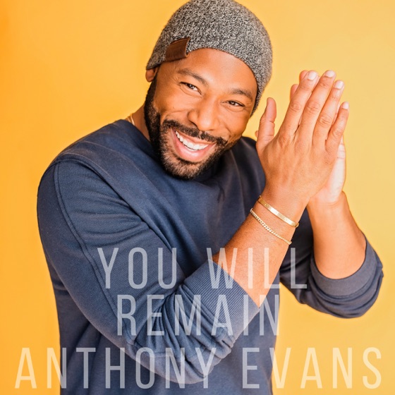 Cover artwork for You Will Remain