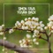 Bailar Riddim - Simon Fava & Yvvan Back lyrics