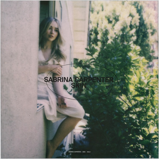 Cover artwork for Skin