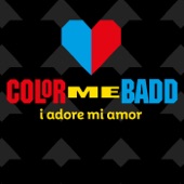 I adore mi amor (International Mix) artwork
