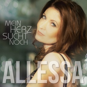 Mein Herz sucht noch - Single