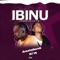 Ibinu (Areadance) [feat. DJ YK] artwork