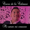 Mi Amor mi Corazon - Single, 2020