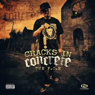 descargar álbum The FOE - Cracks In Concrete