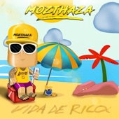 Vida de Rico artwork