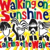 Walking on Sunshine (2004 Version) - Single