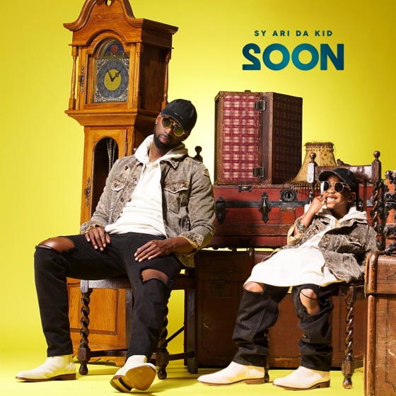 Cover artwork for Hooli
