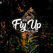Fly Up artwork