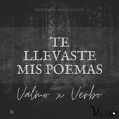 Te llevaste mis poemas (feat. Verbo) artwork