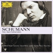 Schumann: The Masterworks artwork