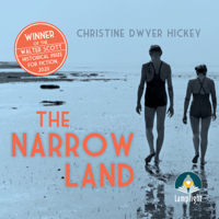 Christine Dwyer Hickey - The Narrow Land artwork