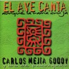 El Ave Canta, 1999