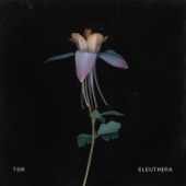 Eleuthera - EP artwork
